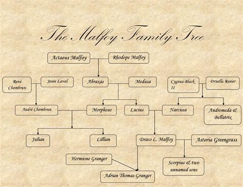 The Malfoy family tree | Harry potter family tree, Family tree, Malfoy family