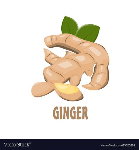 ginger logo 10 free Cliparts | Download images on Clipground 2024