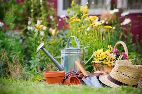 Master Gardener Training Program Begins in October