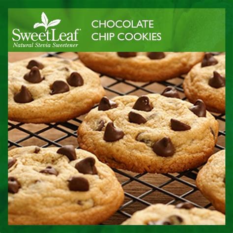 How To Make Chocolate Chip Cookies Without Sugar | Free Stevia Recipes | Recipe | Stevia recipes ...