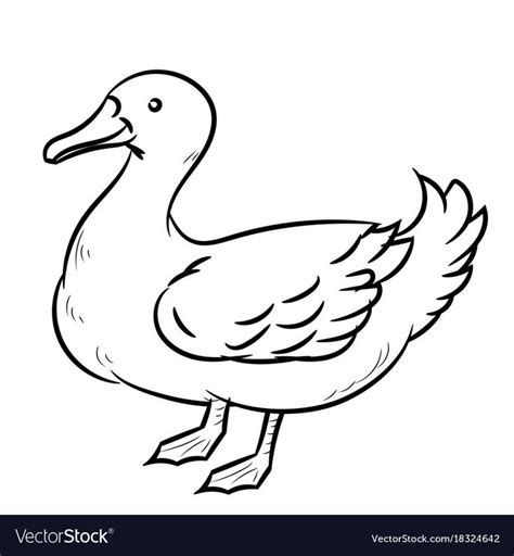 Hand drawn sketch of Duck isolated, Black and White Cartoon Vector Illustration for Coloring ...