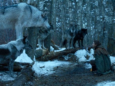 Don’t forget the other living Direwolf. With a giant pack at her ...