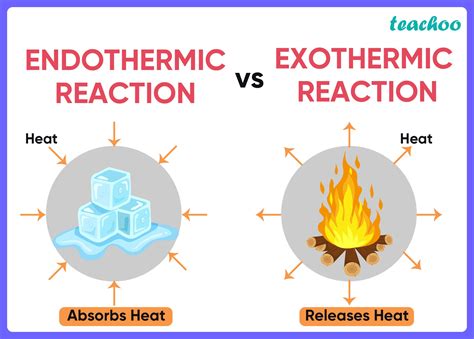 What Are Exothermic And Endothermic Changes? Examples Unveiled!