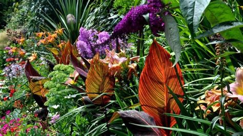 5 Secrets To Creating Spectacular Tropical Gardening Designs ...