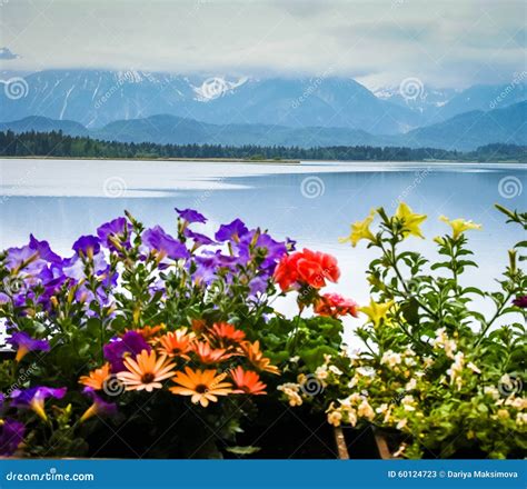 Scenic Landscape with Lake and Flowers in Bavaria Stock Image - Image of flora, germany: 60124723