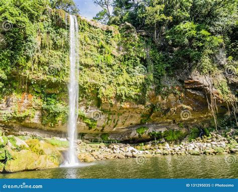 Misol Ha Waterfalls in the Lush Rainforest of Chiapas, Mexico Stock ...