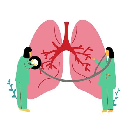 Premium Vector | Hand-drawn cartoon characters study human lungs. Doctors examine the ...