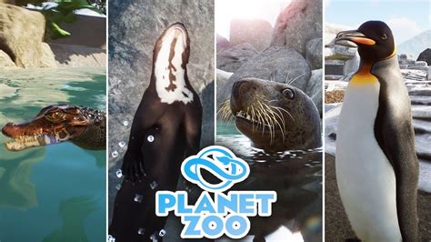 Every NEW AQUATIC PACK ANIMAL & Item Revealed!! 🐧 Planet Zoo: Aquatic Pack Overview - YouTube