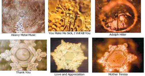 How Words, Frequency Can Change Water & Human Behavior - Dr. Masaru Emoto