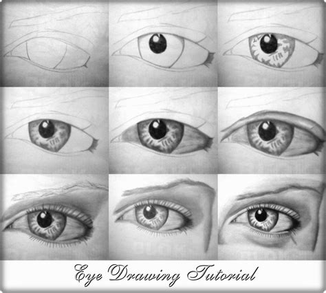 Eye Sketch Step By Step at PaintingValley.com | Explore collection of Eye Sketch Step By Step