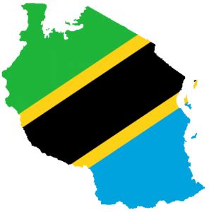 Norway allocates NOK 700 million to Tanzanian rural energy fund - AfricanBrains