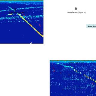 Examples of acoustic scattering at the pycnocline. Segments of 2007... | Download Scientific Diagram