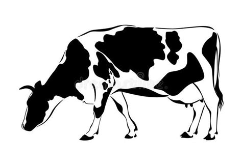 Cow eats grass. Black silhouette on a white , #SPONSORED, #grass, #eats, #Cow, #white, # ...