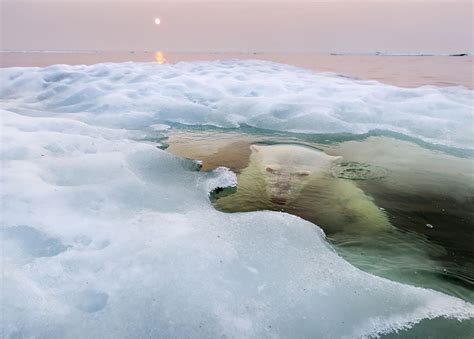 The Winners of The National Geographic Photo Contest 2013