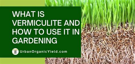 What Is Vermiculite? How To Use It In Gardening | UrbanOrganicYield.com