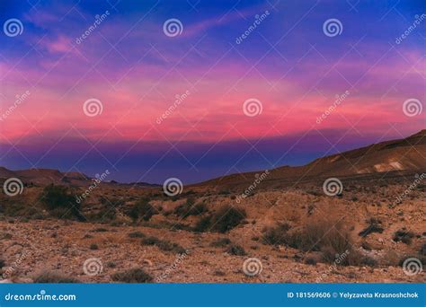 Incredible Purple Sunset in the Negev Desert in Israel. Sunset with ...