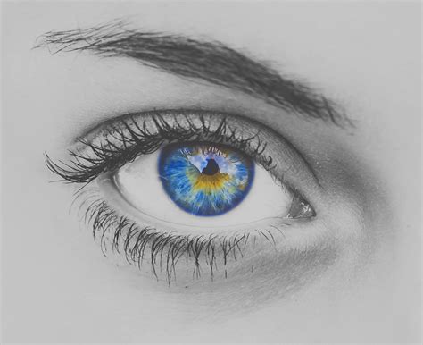 Blue Eye Of Woman Free Stock Photo - Public Domain Pictures