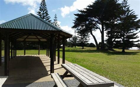 Long Bay Regional Park | Freedom/Basic Camp | New Zealand