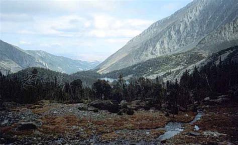 Custer Gallatin National Forest