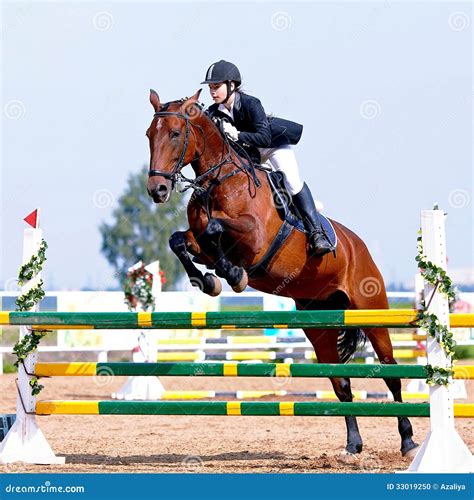 Equestrian Sport Competitions. Stock Photo - Image of arab, male: 33019250