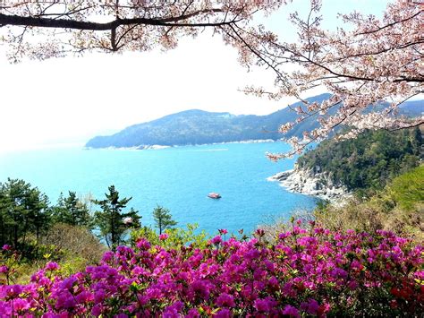 Waegook Travel (Geoje) - All You Need to Know BEFORE You Go