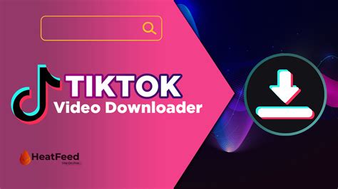 TikTok Video Downloader Online - Download Tiktok Videos Online