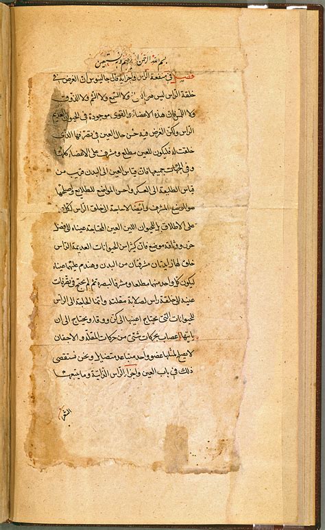 An Odyssey of Knowledge - The Arabic Contribution