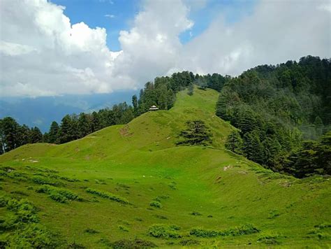 Chakrata Trekking - Uttarakhand - Tripoto