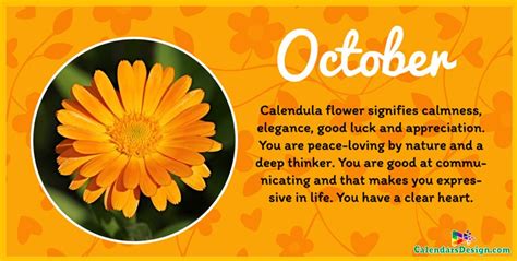 Flower For October Month Quotes | รอยสักเล็กๆ