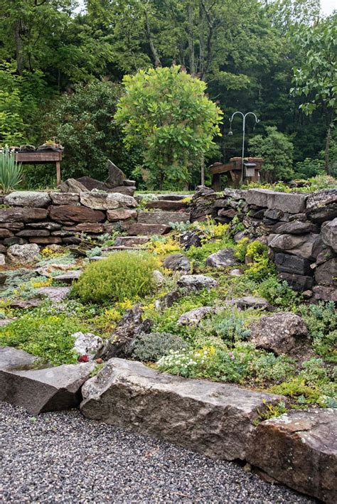 Rocky Terrain Can't Stop This Gardener's Green Thumb | Rockery garden ...