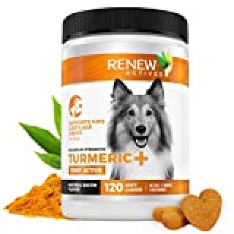 Renew Actives Dog Joint Pain Support Supplement Natural, Advanced ...