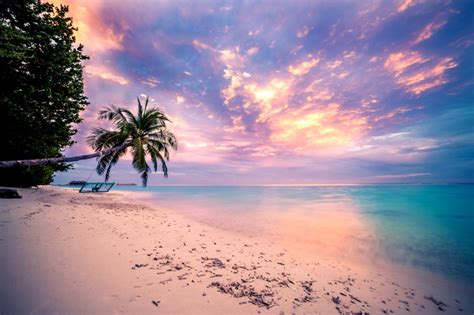 Tropical Beach Sunset Wallpaper And Background Image - Sunset Wallpaper ...