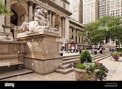 New york public library and lions hi-res stock photography and images - Alamy