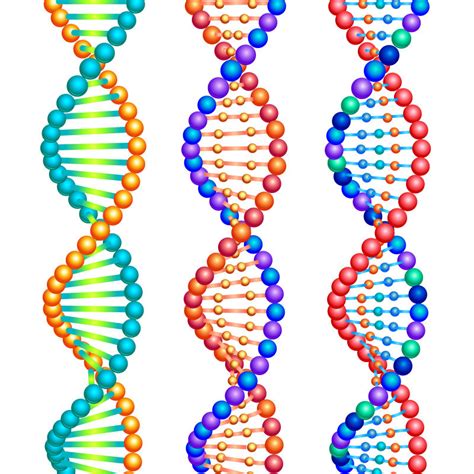 DNA分子结构系列-矢量立体DNA分子结构图片-高清图片-图片素材-寻图免费打包下载