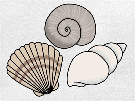 Easy Shells to Draw Easy to Draw Seashells - Nardi Pasm1991