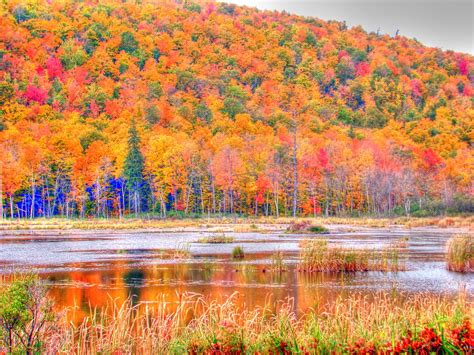 Autumn leaves in Gatineau Park, Quebec (HDR Image) | Flickr