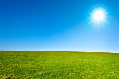 Green Field And Clear Blue Sunny Sky Stock Photo - Download Image Now ...