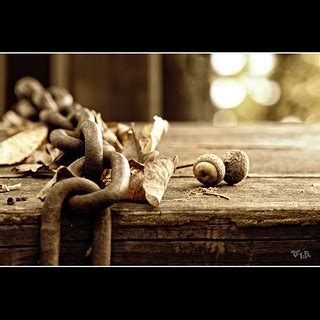 chain | The 11th photowalk from the villach:captured group. | Flickr