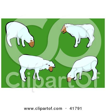 Grazing sheep clipart 20 free Cliparts | Download images on Clipground 2024