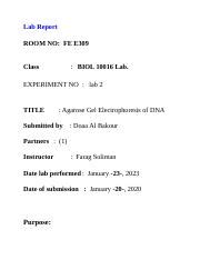 Agarose Gel Electrophoresis: Lab Report on DNA Analysis | Course Hero