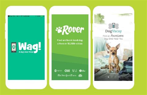 Dog Walking App Development- Turn Busy Dog Owners Into Customers?