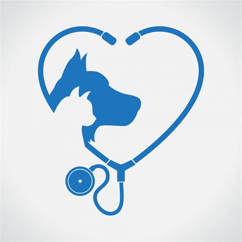 Dog & Cat Hospital in Stockton, CA | California Dog & Cat Hospital