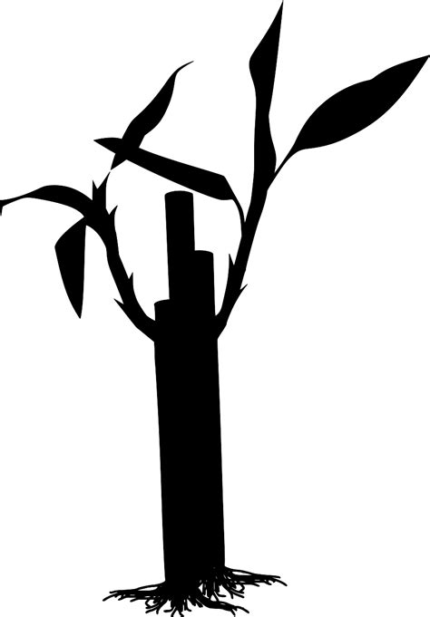 SVG > bamboo leave jungle grass - Free SVG Image & Icon. | SVG Silh