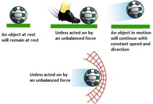 Newton’s First Law of Motion - MyRank