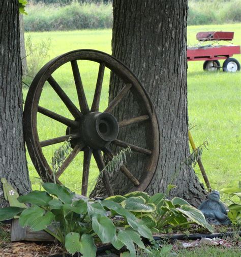 Garden wagon wheel | Wagon wheel garden, Garden wagon, Wagon wheel