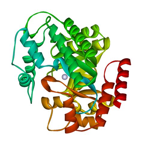 Adenosine Deaminase | Enzyme | P212121 Store