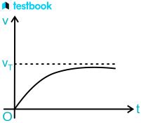 Terminal Velocity: Definition, Formula, Derivation, Examples