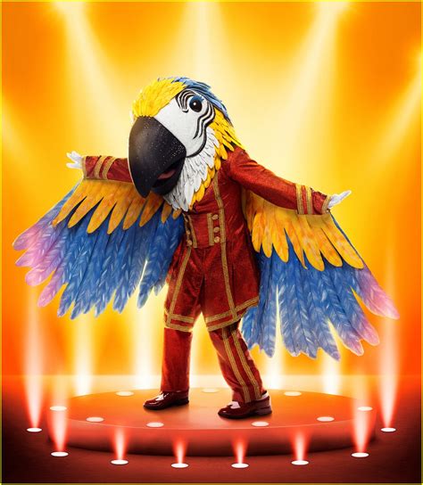 Who is Macaw on 'The Masked Singer' Season 9? Clues, Guesses ...