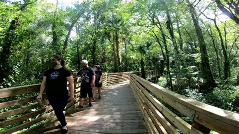 Travel back in time at Hillsborough County’s smallest conservation park | Hillsborough county ...