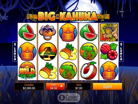 Big Kahuna Snakes and Ladders Slot Machine - Play Free Microgaming Online Slots